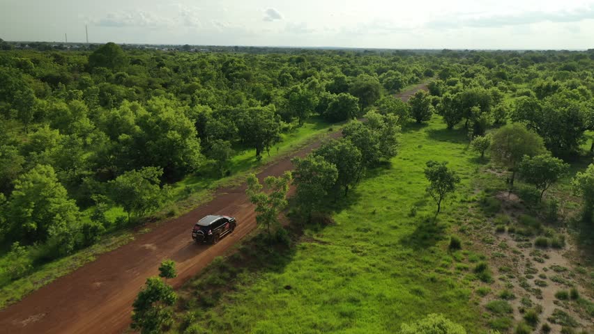 Aerial view of a car driving down a red dirt road cutting through a dense forest with vibrant green trees and grass, Daboya, Savannah Region, Ghana.