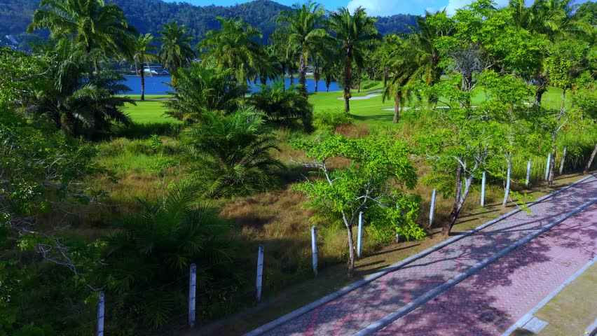 Natural green landscape with palm trees, lake and mountains