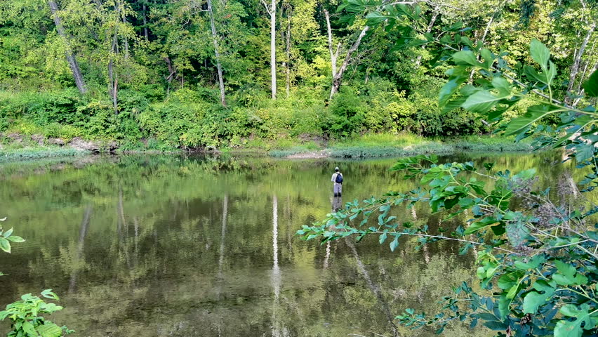 Fly fisherman standing in a calm river surrounded by a lush green forest. Lone angler fishing in a peaceful natural stream during summer.