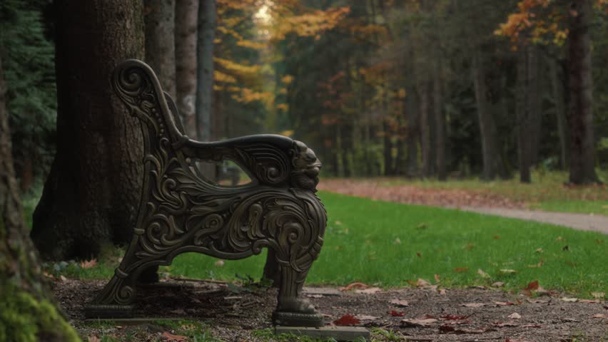 Empty Ornate Park Bench Beside Forest Path in Autumn