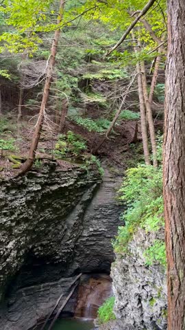 Small Waterfall Pouring into Secluded Watering Hole (Buttermilk Falls State Park, Ithaca, New York, USA)