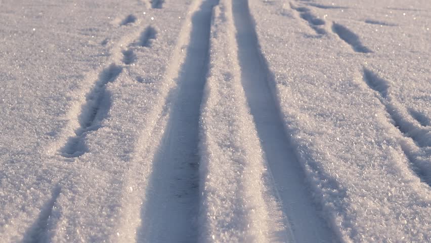 Ski tracks in the snow. White snow-covered ground or surface of a frozen lake. Skier