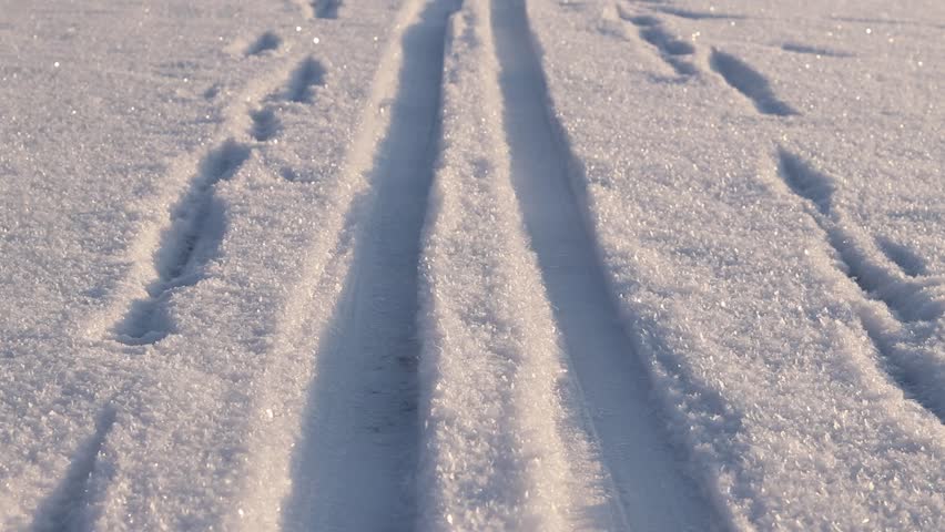 Ski tracks in the snow. White snow-covered ground or surface of a frozen lake. Skier