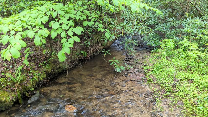 Flowing water after a spring rain storm in the mountains. Northeast of Atlanta in Northern Georgia in the  Chattahoochee-Oconee National Forest. 