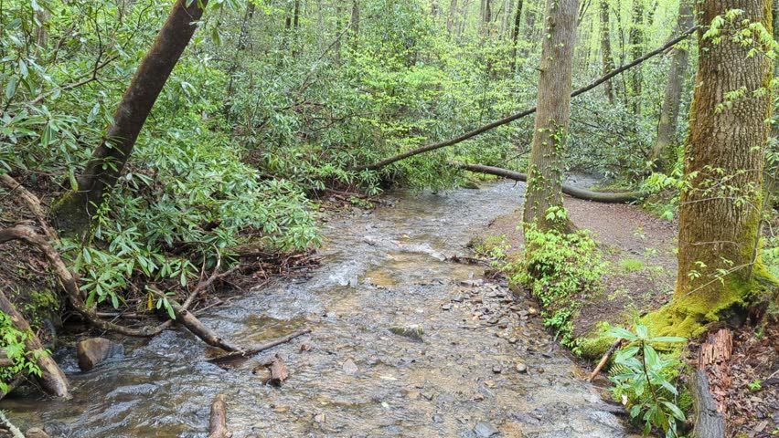 Spring rains and water flowing in the Blue Ridge Mountains of Northern Georgia in this hike in spot in the  Chattahoochee-Oconee National Forest. 