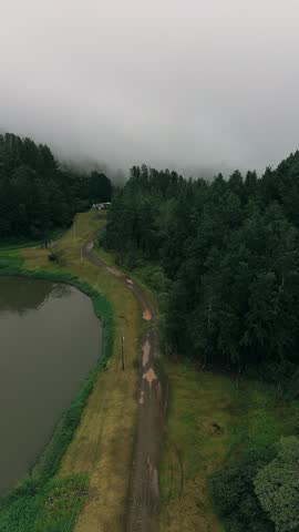 A road with a forest in the background