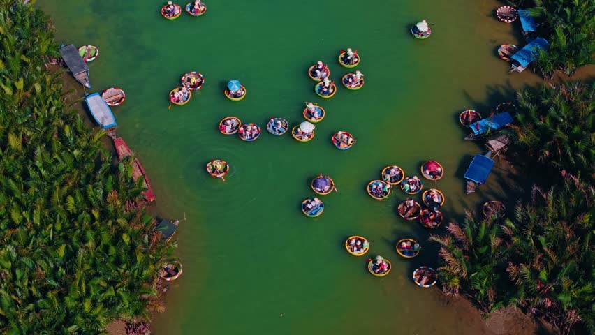 Aerial view of coconut bamboo boats tour in lush greenery of hoi an's waterways, danang, vietnam.