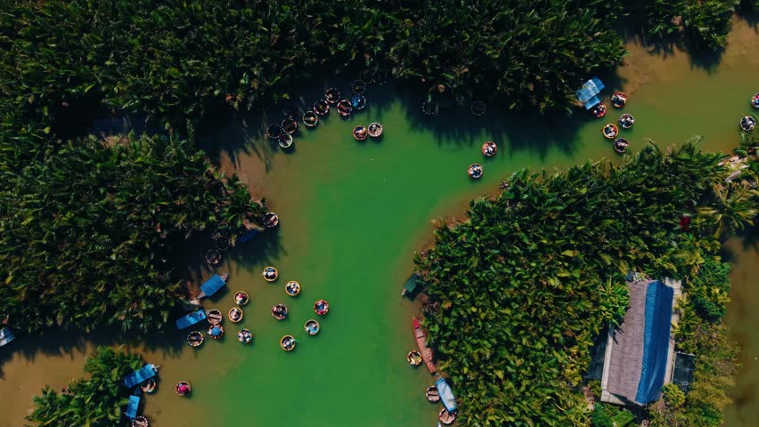 Aerial view of traditional basket boats navigating lush waterways in hoi an, vietnam.