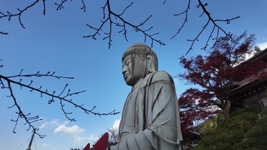 Giant Buddha Statue Revealed Among at Tsubosakadera Temple