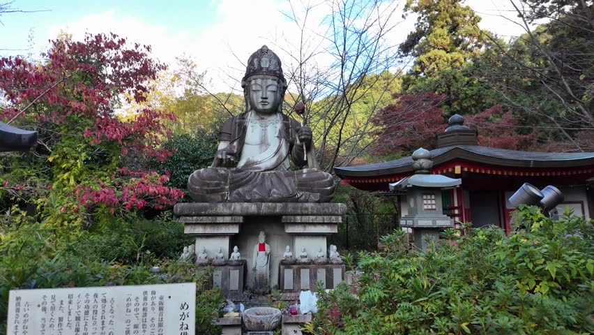 Giant Buddha Statue Revealed Among at Tsubosakadera Temple