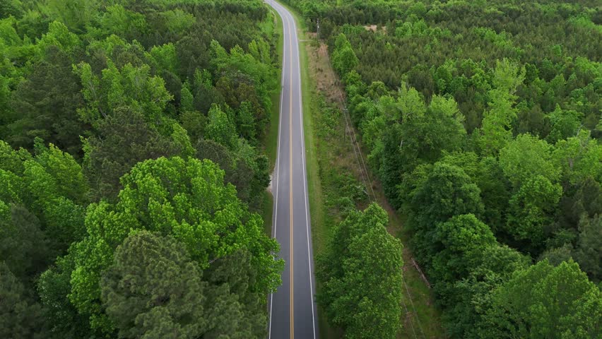 Aerial view of a car driving on a country road through a green forest