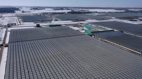 Drone Descending over Large Greenhouse Complex