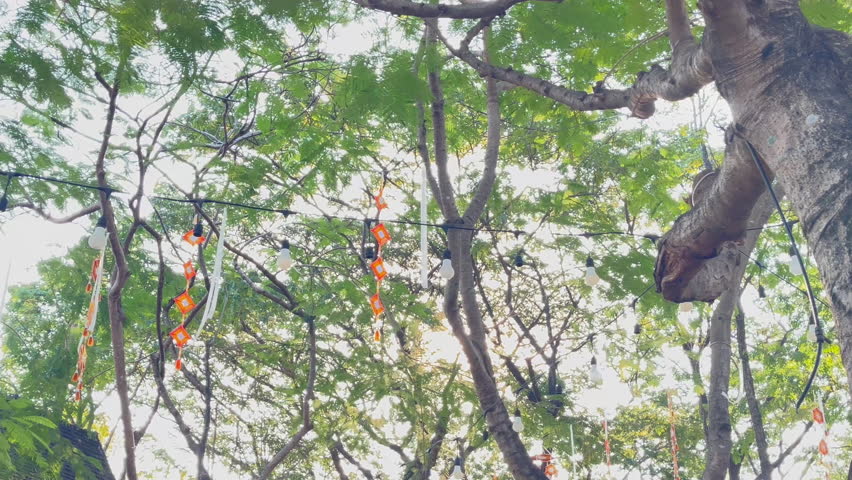 Outdoors garden surrounded by flower blossoming trees, stock footage