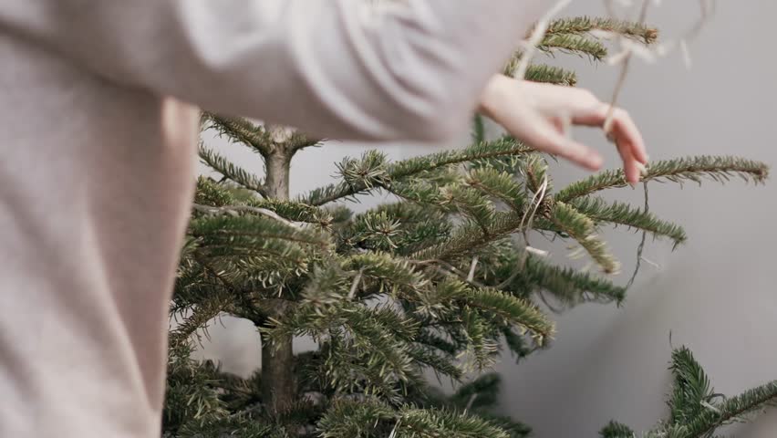 A person removing white decorative lights from a dry evergreen tree indoors during the day