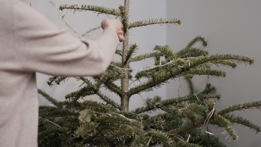 A person removing white decorative lights from a dry evergreen tree indoors during the day