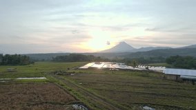 Majestic volcano at dawn with golden sunlight reflecting on flooded rice paddies and tropical palm trees in the rural landscape of Flores, Indonesia. - Powered by Shutterstock - Get 15% off with code: PIKWIZARD15