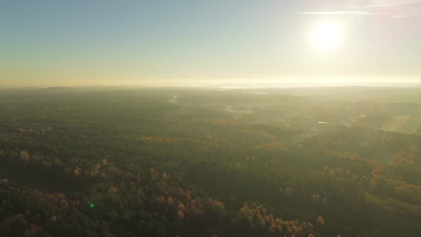 Colorful treetops forming autumn landscape