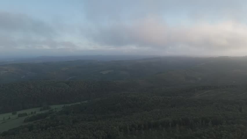 Aerial View of Misty Forested Landscape at Dawn.