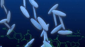 Animation of macro of dna strand spinning and scientific data processing on blue background. Global science, research and data processing concept digitally generated video. - Powered by Shutterstock - Get 15% off with code: PIKWIZARD15