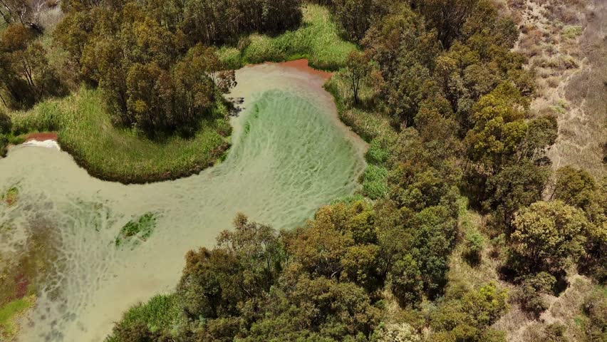 Aerial establishing of shallow green lagoon surrounded by coastal bushland on Yorke Peninsula, floodplain drying with mud and green textures