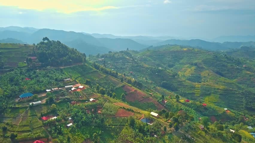 Terraced hillsides and tea plantations surround small villages in Rubanda District, Uganda, with misty Bwindi forested mountains on the distant horizon, aerial view