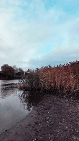 Beautiful autumn landscape with a lake and blue water. Landscape in cinematic colors. Sunset on the lake. 4K 60fps.
