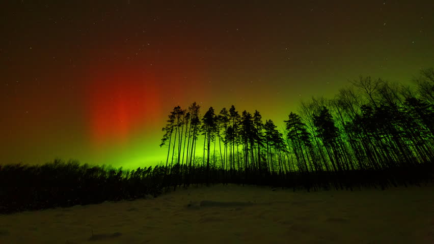 Spectacular northern lights over forest. 4k timelapse video.