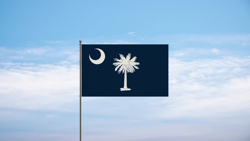 Flag of South Carolina, United States  waving in the wind, national symbol. Country, nation, union, flag, government, culture of South Carolina, politics.