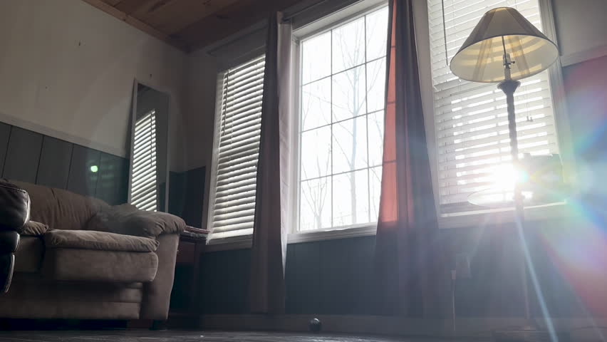 Wide angle shot of a small transparent robotic ball rolling across a dark wooden floor in a sunlit living room. The robot moves past a beige couch and windows with blinds during the day.