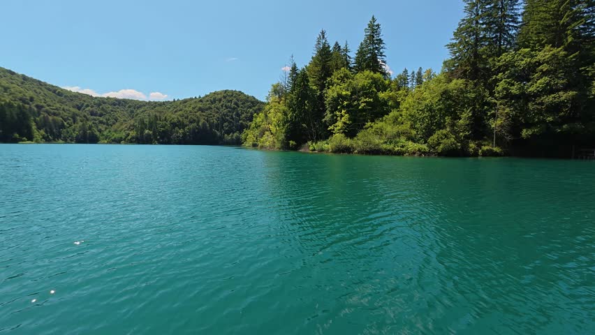 A steady view across the vibrant turquoise waters of Kozjak Lake towards lush green forested hills under a clear blue sky in Plitvice Lakes National Park, Croatia.