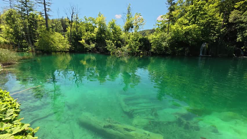 A wide view of the vibrant turquoise Kozjak Lake surrounded by lush green forested mountains under a clear blue sky in Plitvice Lakes National Park, Croatia.