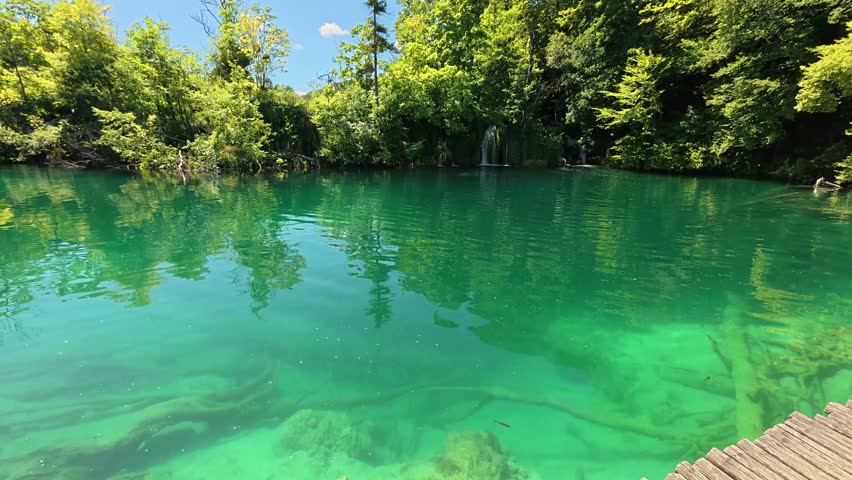 A panoramic view of the vibrant turquoise waters of Kozjak Lake in Plitvice Lakes National Park, Croatia. Lush green forested mountains surround the serene water under a clear blue sky.
