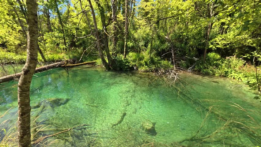 A wide view of the vibrant turquoise Kozjak Lake in Plitvice Lakes National Park, Croatia. Lush green forested mountains line the horizon under a bright, clear summer sky.