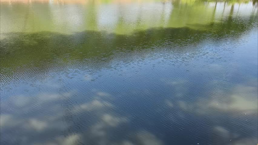 sstkVertical, Enjoy the river view in a park.