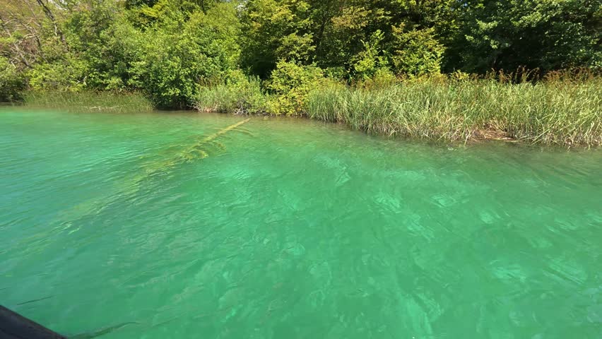 Video of clear green freshwater lake with dense forest shoreline and calm water surface in natural light. Suitable for editorial stock use.
