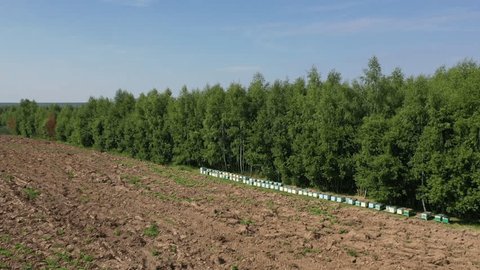Aerial Drone Turn over Honey Apiary Field