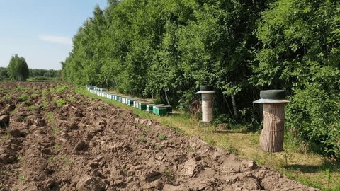 Drone Tracking along Beehives near Forest Kolomna