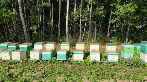 Low Sideways Drone Pass by Beehives