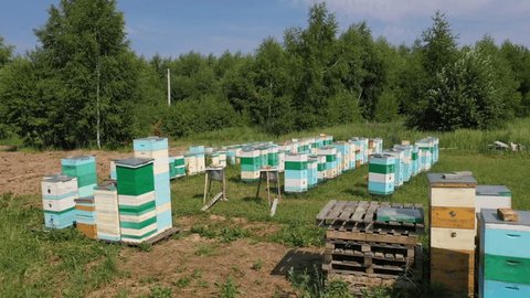 Drone Orbiting around Beehive Rows Honey Apiary