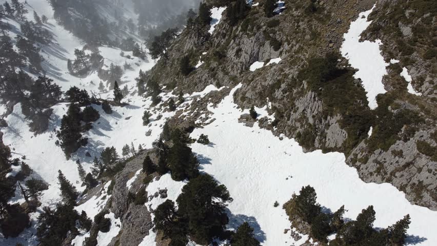 Aerial view of a high mountain landscape. A sea of ​​clouds covers the valley as snow-capped peaks emerge in the background. The forested slopes and snow create a striking contrast with the clear sky, conveying a sense of height, silence, and natural majesty.