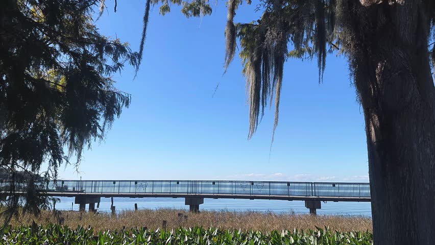 A quiet waterfront pier stretches across calm coastal waters, framed by moss-covered trees, shoreline grasses, and a wide blue sky that creates a peaceful and relaxing natural setting.