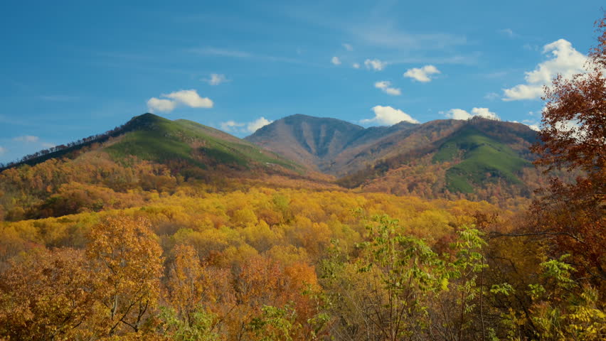 Wide view of mountain peaks surrounded by vibrant autumn forest under a clear blue sky. POV of natural beauty, seasonal change, and peaceful wilderness in fall.
