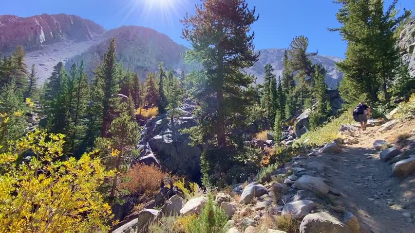 Majestic Mountains and Colorful Autumn Forest Under Sunny Blue Sky. A breathtaking panoramic view of high peaks and a vibrant autumn forest. Bright yellow leaves mixed with tall evergreens create a stunning contrast against the blue sky. Pure travel inspiration.