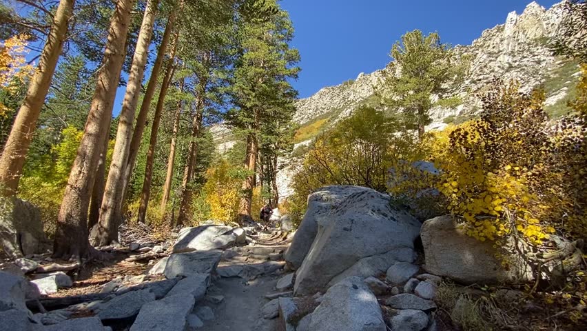 Following Hiker on a Forest Path Through Golden Autumn Leaves in Slow Motion. A slow-motion follow shot of a hiker walking along a trail in a vibrant autumn forest. Bright sun rays shine through golden foliage and pine trees. A magical, fairy-tale hiking experience.