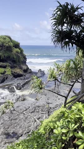 Static handheld video of a rugged Hawaiian coastline with volcanic rock shoreline and small surf washing into a rocky inlet. Dense tropical plants frame the scene, including broad green groundcover in the foreground and spiky coastal foliage to the side, creating a natural border around the ocean view. White foam patterns move gently across the water while the rest of the scene remains still. No people or manmade structures are visible.