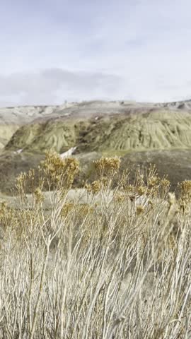 Static handheld video of wind-blown prairie grasses in sharp focus in the foreground with Badlands National Park formations softly blurred in the background.