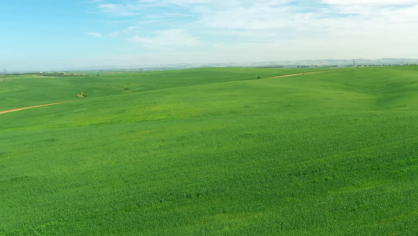 Ruhama Badlands Green Fields Aerial Drone Footage

Aerial drone view of green fields and rolling hills 1.1.2026 Israel
