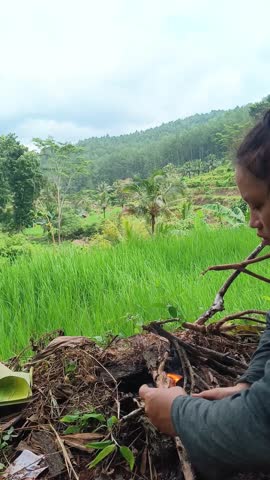 A serene moment of a local woman tending a wood fire in a rural field shack with forest views.