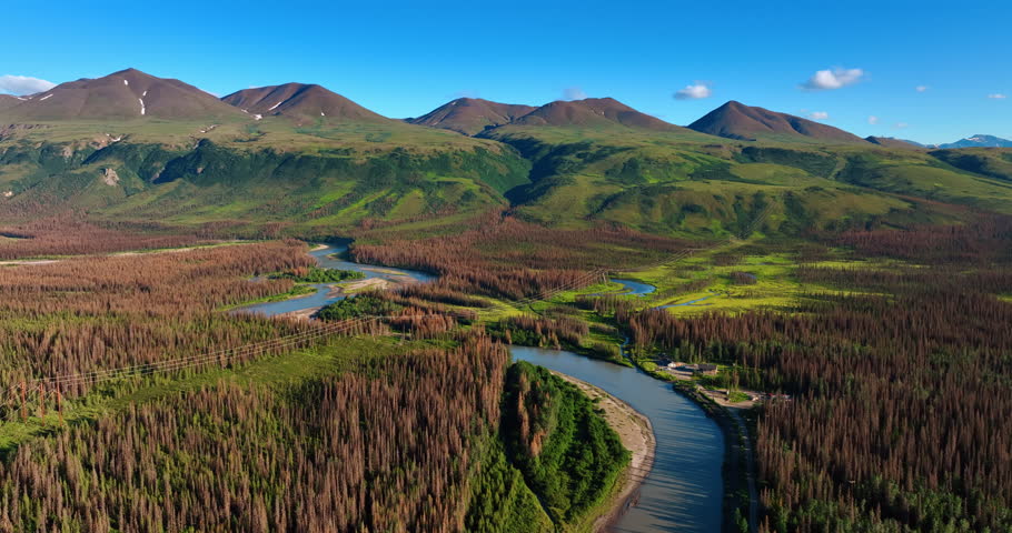 Brown pine tree wood covering the valley crossed by the river. Amazing mountains at backdrop. Wilderness of Alaska.