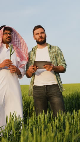 Farmers discussing wheat crop in field